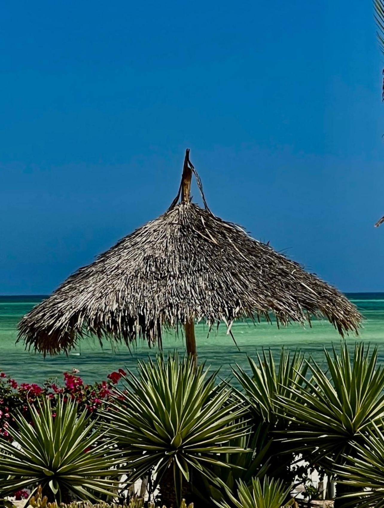 Shira House Bed and Breakfast Watamu Εξωτερικό φωτογραφία